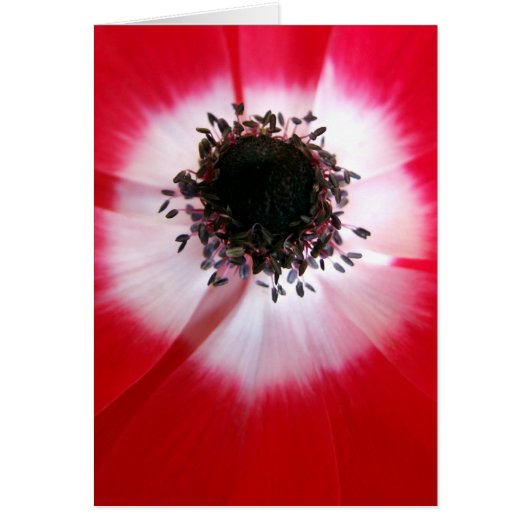 Red Blume Center Card (Vorne)
