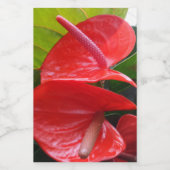 Red Blume Food Container Label Lebensmitteletikett (Einzelnes Label)