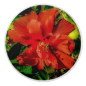Red Blume Power Keramikknauf (Vorderseite)