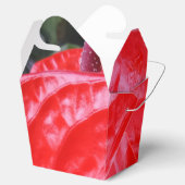 Red Blume Take Out Gevor Box Geschenkschachtel (Geöffnet)