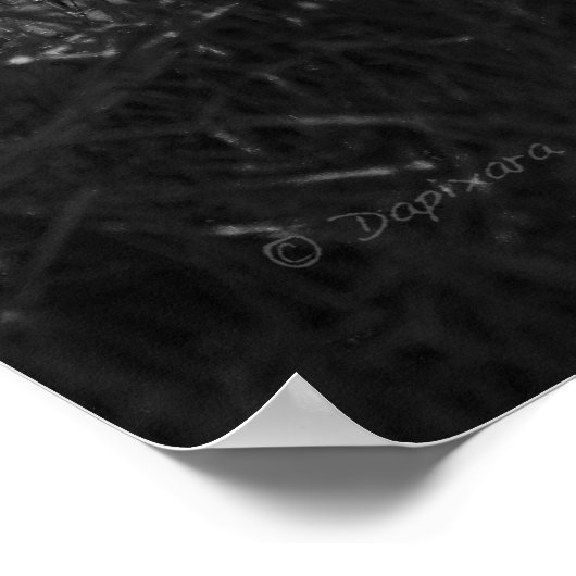 Red Boat Poster (Ecke)