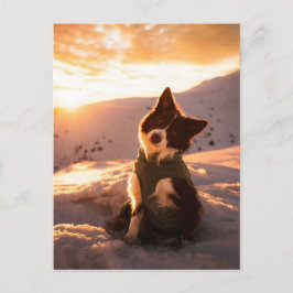 Red Border Collie in Snowy Mountains at Sunset Postkarte