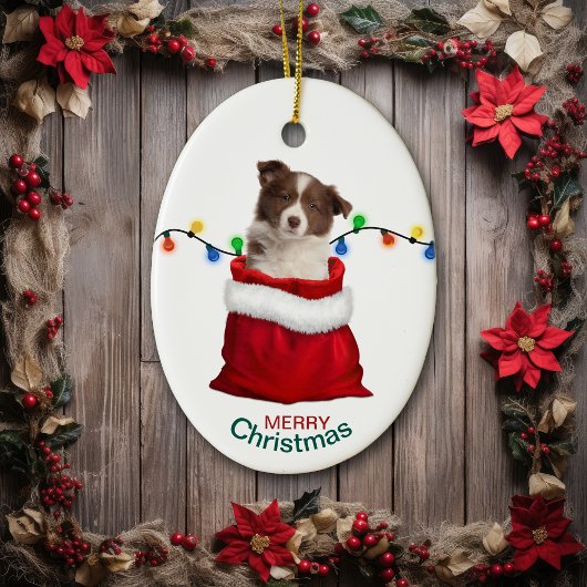 Red Border Collie Puppy in Holiday Gift Bag Keramik Ornament