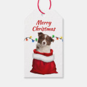 Red Border Collie Puppy in Santa Bag Geschenkanhänger (Vorderseite)