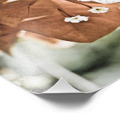 Red Bougainvillea Fotodruck (Ecke)