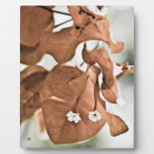 Red Bougainvillea Fotoplatte (Vorderseite)