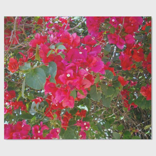 Red Bougainvillea Geschenkpapier (Flach)