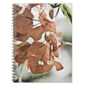 Red Bougainvillea Notizblock (Vorderseite)
