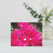 Red Bougainvillea Postkarte (Stehend Vorderseite)
