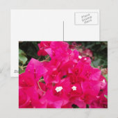 Red Bougainvillea Postkarte (Vorne/Hinten)