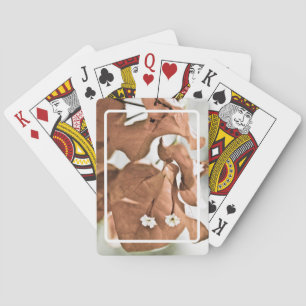 Red Bougainvillea Spielkarten