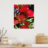 Red Bouganvilla Poster (Küche)