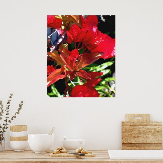 Red Bouganvilla Poster (Küche)