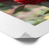 Red Bouquet Print Poster (Ecke)