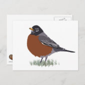 Red Breasted American Robin Digitally Gezeichnet B Postkarte (Vorne/Hinten)