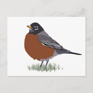 Red Breasted American Robin Digitally Gezeichnet B Postkarte