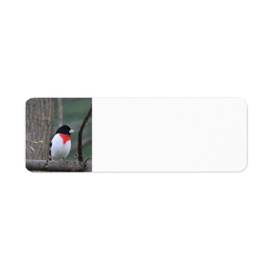 Red Breasted Grosbeak Adressetiketten (Vorne)