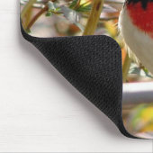 Red Breasted Grosbeak Mousepad (Ecke)