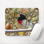 Red Breasted Grosbeak Mousepad (Mit Mouse)