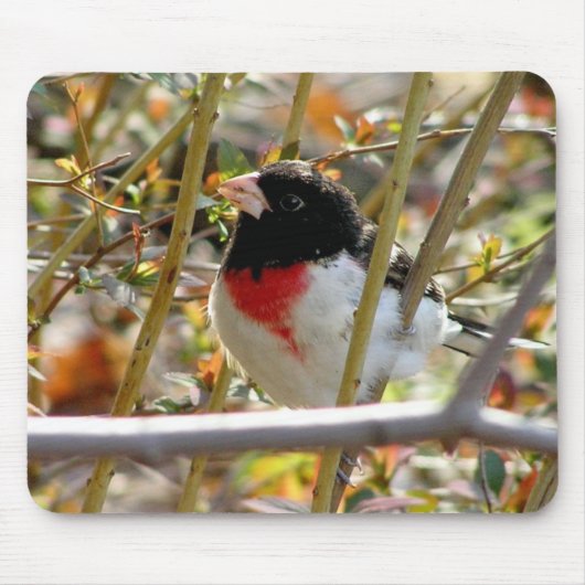 Red Breasted Grosbeak Mousepad (Vorne)