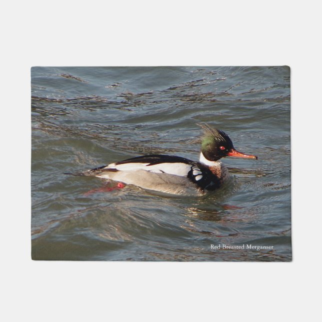 Red Breasted Merganser Türmatte (Vorderseite)