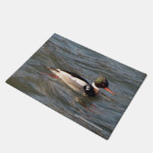 Red Breasted Merganser Türmatte (Schrägansicht)