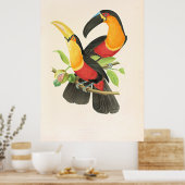 Red-Breasted Toucan Bird Poster (Küche)