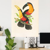 Red-Breasted Toucan Bird Poster (Heimbüro)