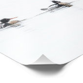 Red Breaster Merganser Foto Print on Foggy Lake (Ecke)