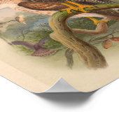 Red Breastk Hawk Bird Vintage Kunst drucken Poster (Ecke)