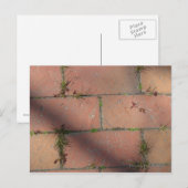 Red Brick Postkarte (Vorne/Hinten)