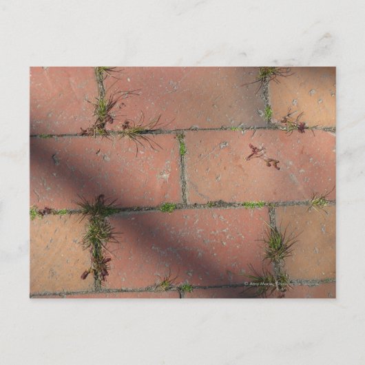 Red Brick Postkarte (Vorderseite)