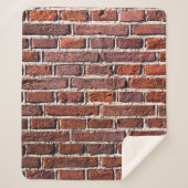 Red brick wall stone bricks masonry sherpadecke (Vorderseite)