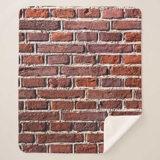 Red brick wall stone bricks masonry sherpadecke (Vorderseite)