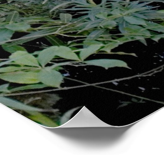 Red Bridge Print Poster (Ecke)