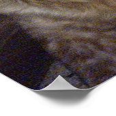 Red Brittany Spaniel dog épagneul breton roux Poster (Ecke)