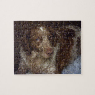 Red Brittany Spaniel dog épagneul breton roux Puzzle