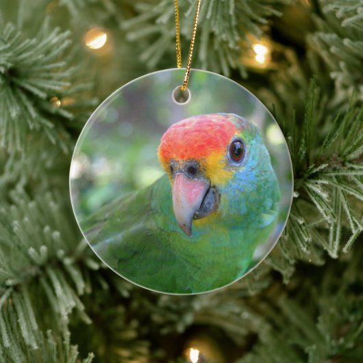 Red Brown Amazon Parrot II Keramik Ornament (Baum)