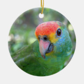 Red Brown Amazon Parrot II Keramik Ornament (Vorne)