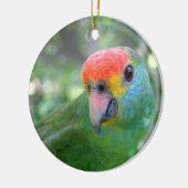 Red Brown Amazon Parrot II Keramik Ornament (Links)