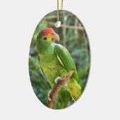 Red Brown Amazon Parrot Keramik Ornament (Links)