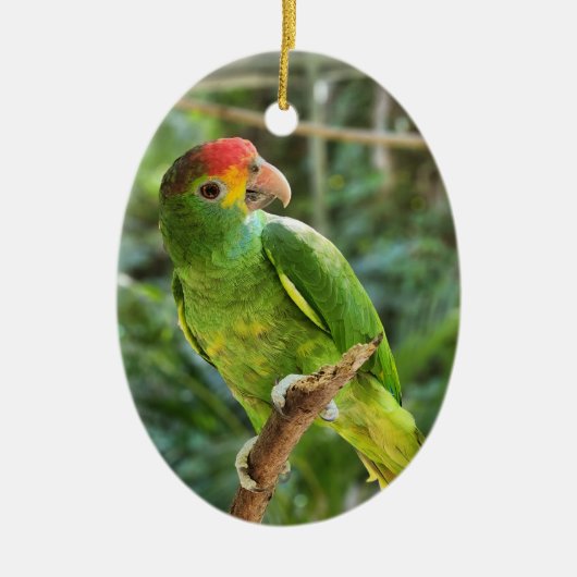 Red Brown Amazon Parrot Keramik Ornament (Vorne)