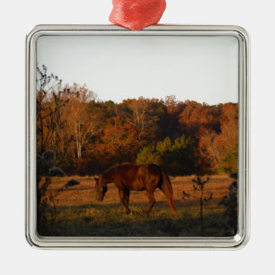 Red Brown horse, autumn woods. Ornament Aus Metall
