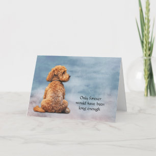 Red Brown Poodle Dog Loss Sympathie Karte