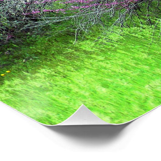 Red Bud tree.... Poster (Ecke)