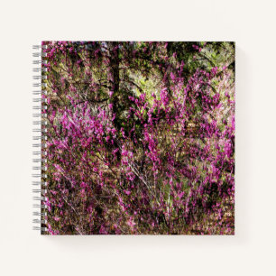 Red Bud Trees...... Notizblock