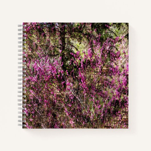 Red Bud Trees...... Notizblock (Vorderseite)