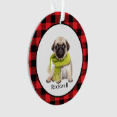 Red Buffalo Kariert Custom Pet Foto Ornament (Vorderseite)