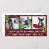 Red Buffalo Kariert Holidays Fotokarte Feiertagskarte (Vorne/Hinten)