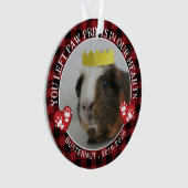 Red Buffalo Karo Paws Guinea Pig Memorial Foto Ornament (Vorderseite)